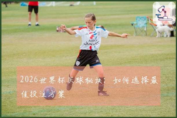 2026世界杯买球秘诀：如何选择最佳投注方案
