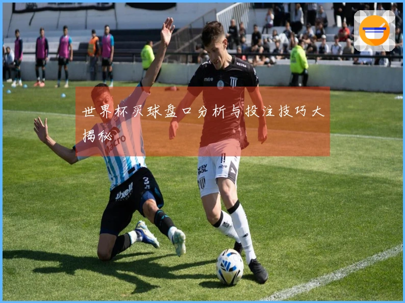 世界杯买球盘口分析与投注技巧大揭秘