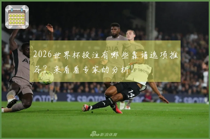 2026世界杯投注有哪些靠谱选项推荐?来看看专家的分析!