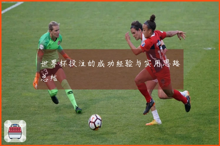 世界杯投注的成功经验与实用思路总结