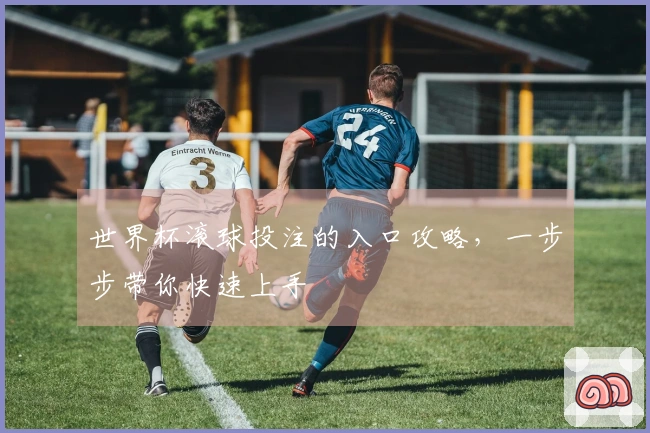 世界杯滚球投注的入口攻略,一步步带你快速上手