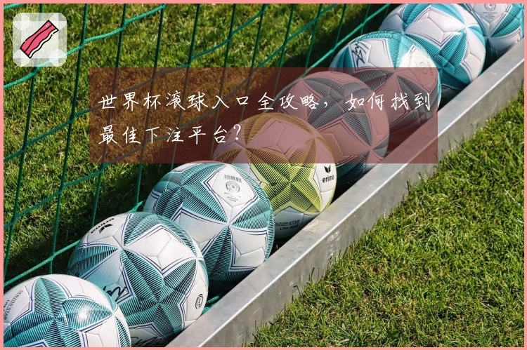 世界杯滚球入口全攻略,如何找到最佳下注平台?
