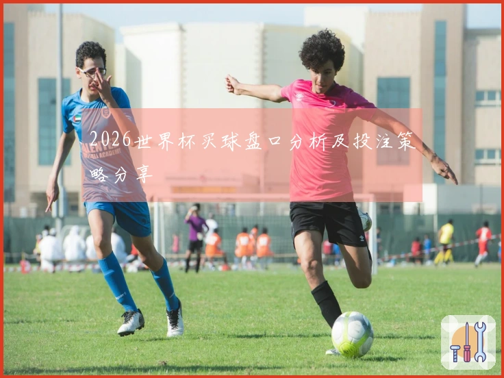 2026世界杯买球盘口分析及投注策略分享