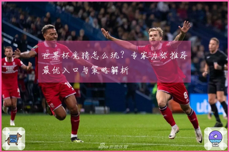 世界杯竞猜怎么玩？专家为你推荐最优入口与策略解析