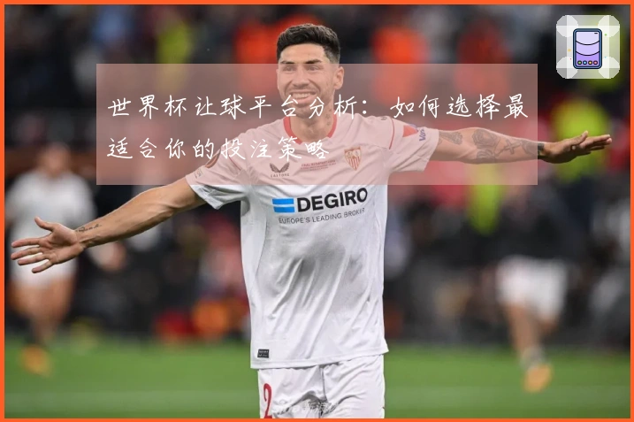 世界杯让球平台分析：如何选择最适合你的投注策略
