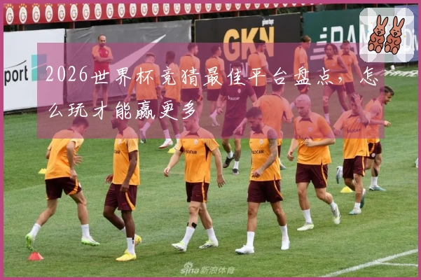 2026世界杯竞猜最佳平台盘点，怎么玩才能赢更多