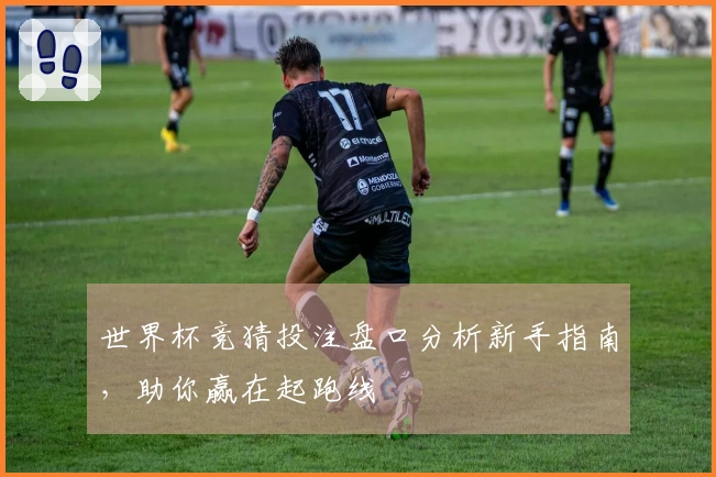 世界杯竞猜投注盘口分析新手指南，助你赢在起跑线