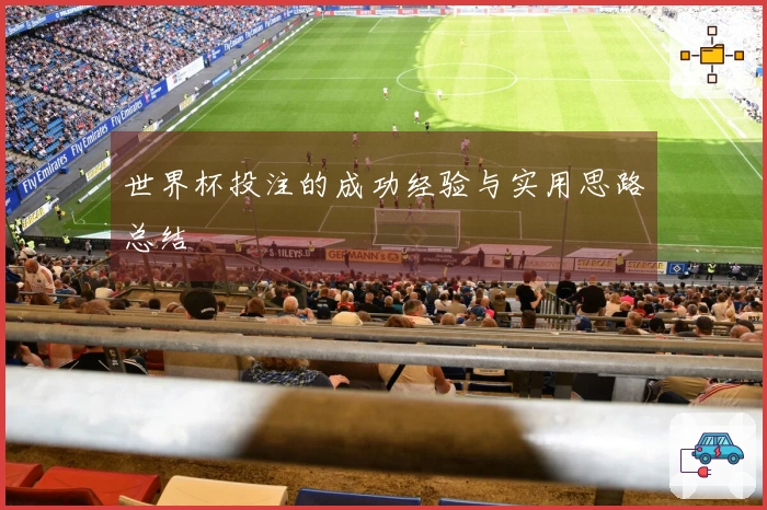 世界杯投注的成功经验与实用思路总结