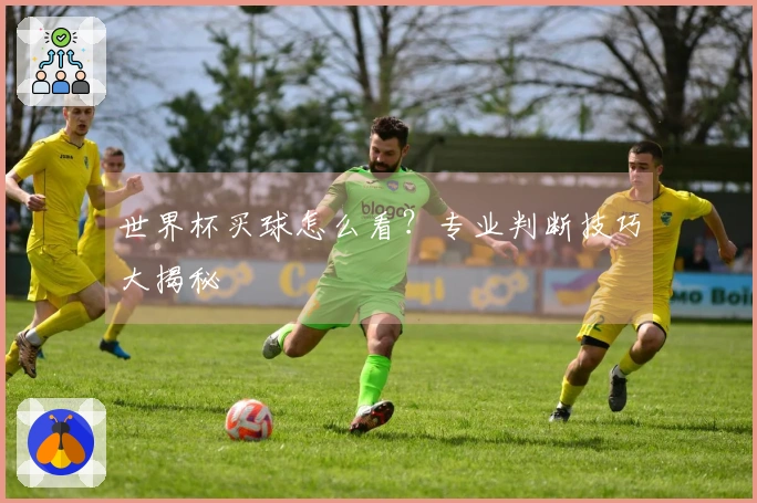 世界杯买球怎么看？专业判断技巧大揭秘