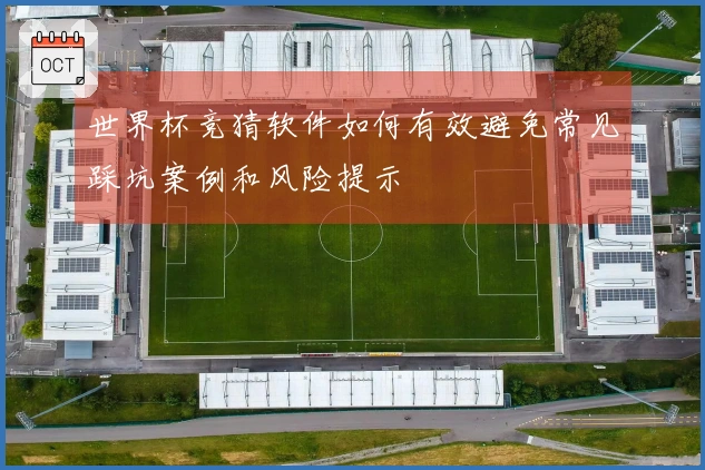 世界杯竞猜软件如何有效避免常见踩坑案例和风险提示