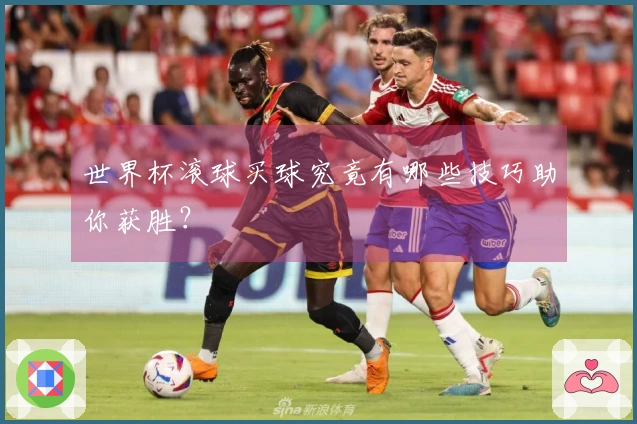 世界杯滚球买球究竟有哪些技巧助你获胜?