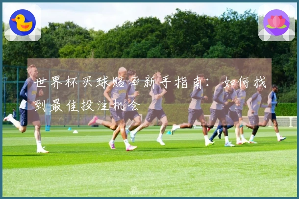 世界杯买球赔率新手指南：如何找到最佳投注机会