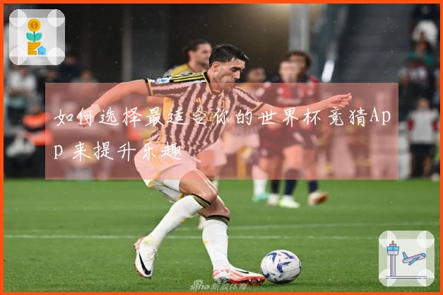 如何选择最适合你的世界杯竞猜App 来提升乐趣