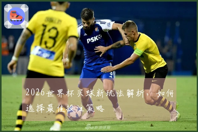2026世界杯买球新玩法解析，如何选择最佳投注策略