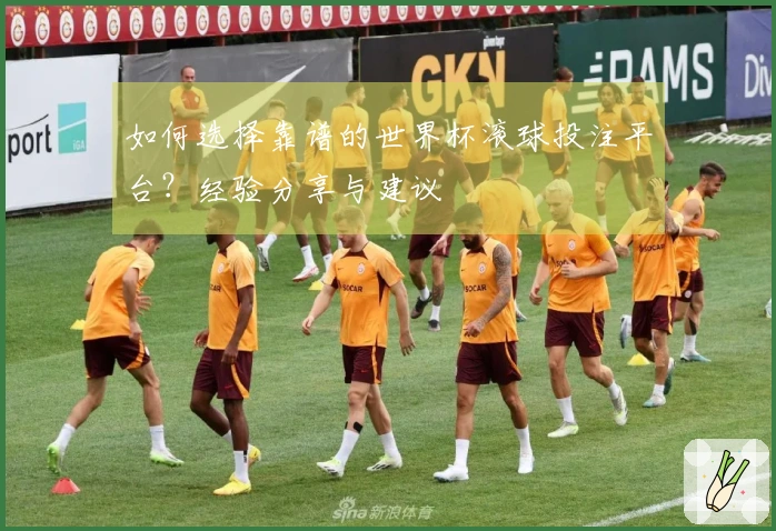 如何选择靠谱的世界杯滚球投注平台?经验分享与建议