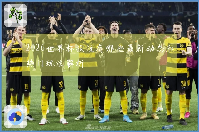 2026世界杯投注有哪些最新动态和热门玩法解析