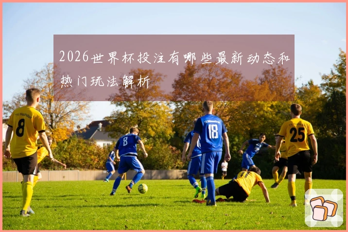 2026世界杯投注有哪些最新动态和热门玩法解析