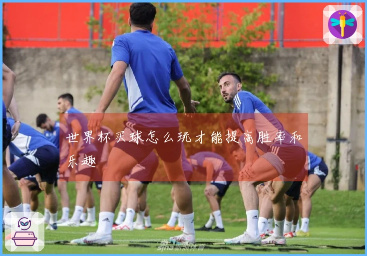 世界杯买球怎么玩才能提高胜率和乐趣