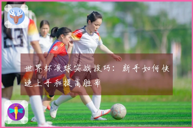世界杯滚球实战技巧:新手如何快速上手和提高胜率