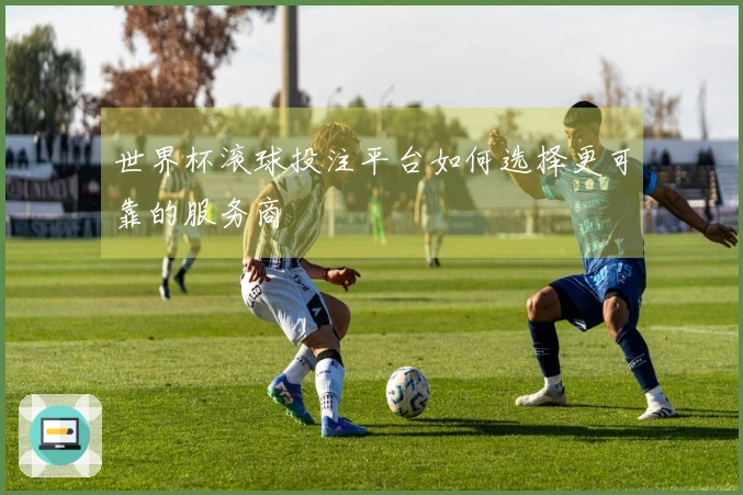 世界杯滚球投注平台如何选择更可靠的服务商